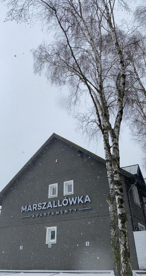 Apartamenty Marszallowka Dębki Extérieur photo